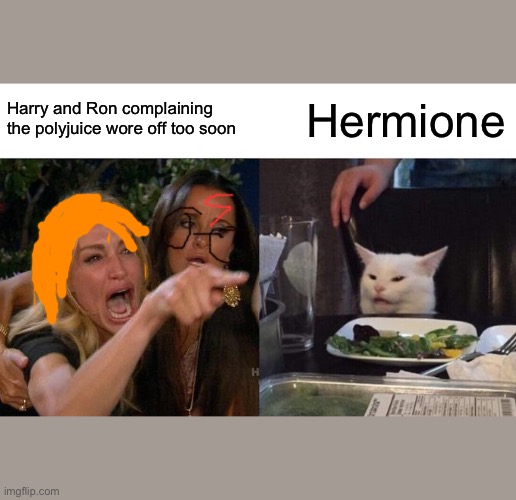 Polyjuice | Harry and Ron complaining the polyjuice wore off too soon; Hermione | image tagged in memes,woman yelling at cat | made w/ Imgflip meme maker
