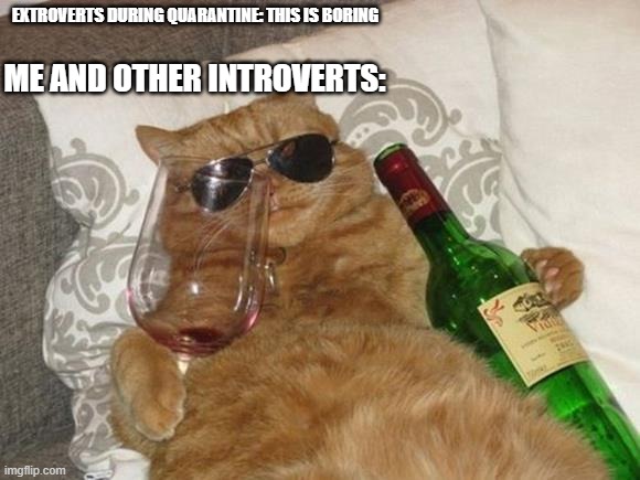 Funny Cat Birthday | ME AND OTHER INTROVERTS:; EXTROVERTS DURING QUARANTINE: THIS IS BORING | image tagged in funny cat birthday | made w/ Imgflip meme maker