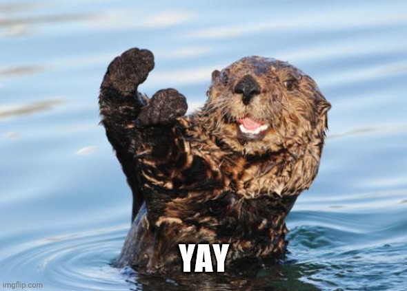 otter celebration | YAY | image tagged in otter celebration | made w/ Imgflip meme maker