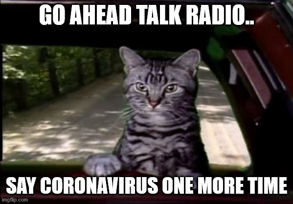 Toonces Ain't Playin' | GO AHEAD TALK RADIO.. SAY CORONAVIRUS ONE MORE TIME | image tagged in toonces | made w/ Imgflip meme maker