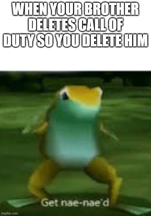 Get nae nae'd | WHEN YOUR BROTHER DELETES CALL OF DUTY SO YOU DELETE HIM | image tagged in get nae nae'd | made w/ Imgflip meme maker