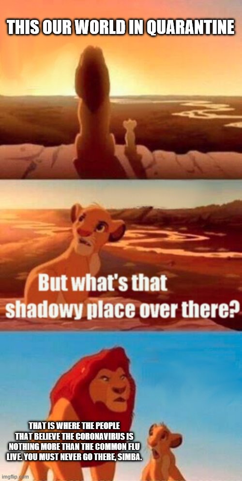 anybody believe this? | THIS OUR WORLD IN QUARANTINE; THAT IS WHERE THE PEOPLE THAT BELIEVE THE CORONAVIRUS IS NOTHING MORE THAN THE COMMON FLU LIVE. YOU MUST NEVER GO THERE, SIMBA. | image tagged in memes,simba shadowy place | made w/ Imgflip meme maker