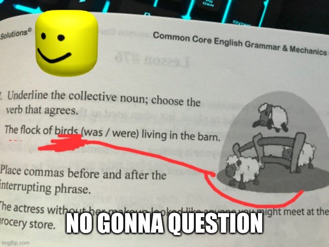 Saw this on my work today | NO GONNA QUESTION | image tagged in spelling error,grammar | made w/ Imgflip meme maker