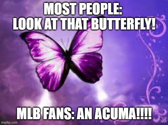 Purple Butterfly | MOST PEOPLE:  LOOK AT THAT BUTTERFLY! MLB FANS: AN ACUMA!!!! | image tagged in purple butterfly | made w/ Imgflip meme maker