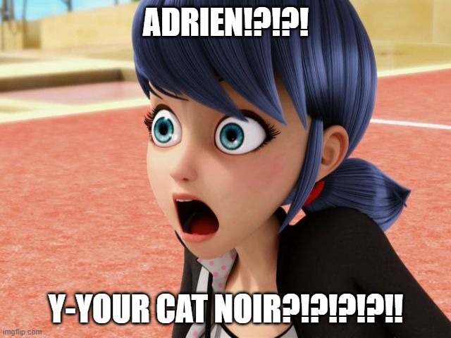 Miraculous Marinette Scared | ADRIEN!?!?! Y-YOUR CAT NOIR?!?!?!?!! | image tagged in miraculous marinette scared | made w/ Imgflip meme maker