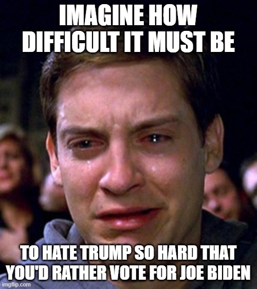 crying peter parker | IMAGINE HOW DIFFICULT IT MUST BE TO HATE TRUMP SO HARD THAT YOU'D RATHER VOTE FOR JOE BIDEN | image tagged in crying peter parker | made w/ Imgflip meme maker