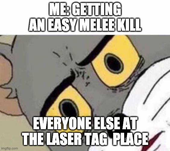 HAHA | ME: GETTING AN EASY MELEE KILL; EVERYONE ELSE AT THE LASER TAG  PLACE | image tagged in tom cat unsettled close up | made w/ Imgflip meme maker