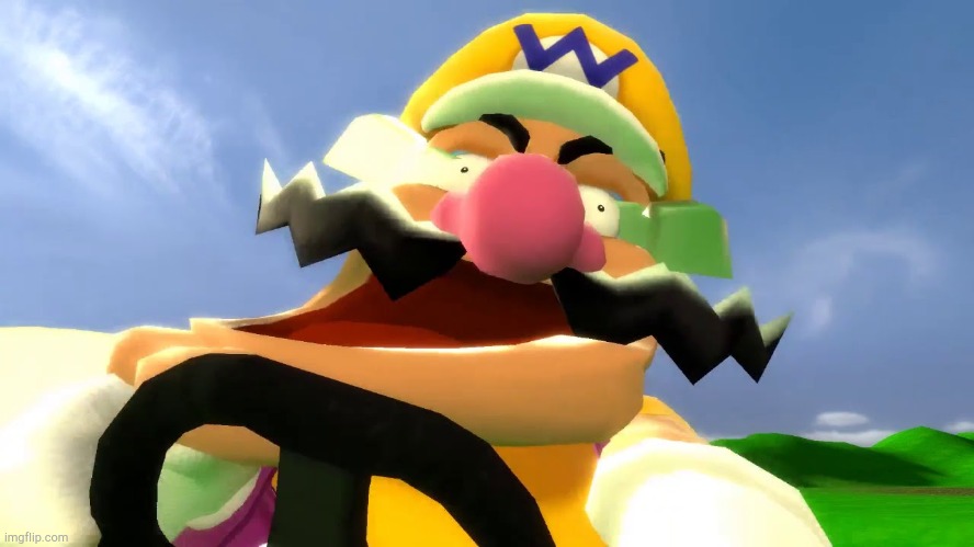Wario Derp! | image tagged in wario derp | made w/ Imgflip meme maker