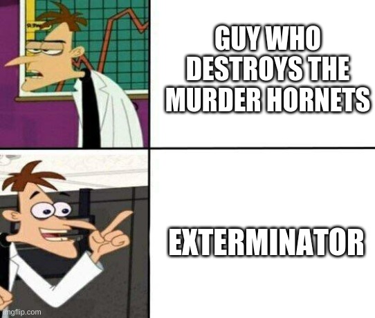 what you need | GUY WHO DESTROYS THE MURDER HORNETS; EXTERMINATOR | image tagged in drake but it's doofenshmirtz | made w/ Imgflip meme maker