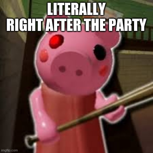 LITERALLY RIGHT AFTER THE PARTY | made w/ Imgflip meme maker