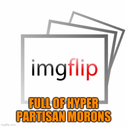 Imgflip | FULL OF HYPER PARTISAN MORONS | image tagged in imgflip | made w/ Imgflip meme maker
