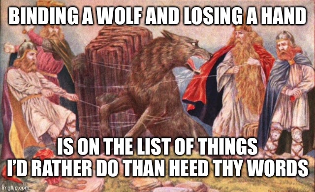 When your likely to get hurt anyways, what difference does it make | BINDING A WOLF AND LOSING A HAND; IS ON THE LIST OF THINGS I’D RATHER DO THAN HEED THY WORDS | image tagged in random | made w/ Imgflip meme maker