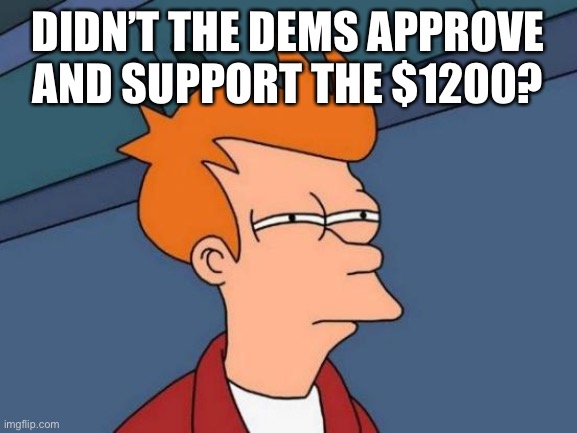 Futurama Fry Meme | DIDN’T THE DEMS APPROVE AND SUPPORT THE $1200? | image tagged in memes,futurama fry | made w/ Imgflip meme maker