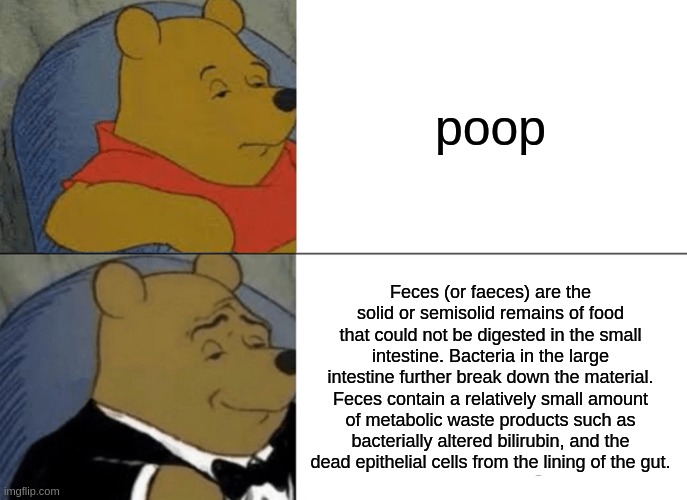 Tuxedo Winnie The Pooh Meme | poop; Feces (or faeces) are the solid or semisolid remains of food that could not be digested in the small intestine. Bacteria in the large intestine further break down the material. Feces contain a relatively small amount of metabolic waste products such as bacterially altered bilirubin, and the dead epithelial cells from the lining of the gut. | image tagged in memes,tuxedo winnie the pooh | made w/ Imgflip meme maker