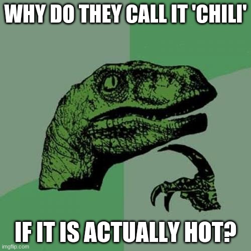 Philosoraptor Meme | WHY DO THEY CALL IT 'CHILI'; IF IT IS ACTUALLY HOT? | image tagged in memes,philosoraptor | made w/ Imgflip meme maker