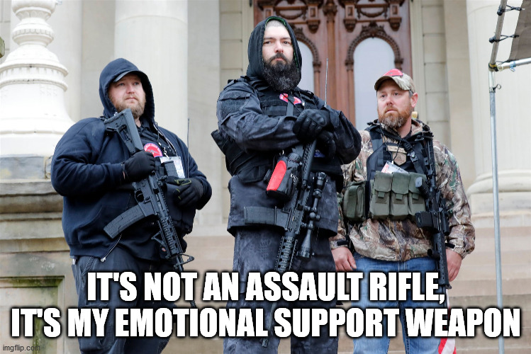 Emotional Support Weapon | IT'S NOT AN ASSAULT RIFLE, IT'S MY EMOTIONAL SUPPORT WEAPON | image tagged in white supremacists,assault weapons,assault rifle,make america great again | made w/ Imgflip meme maker