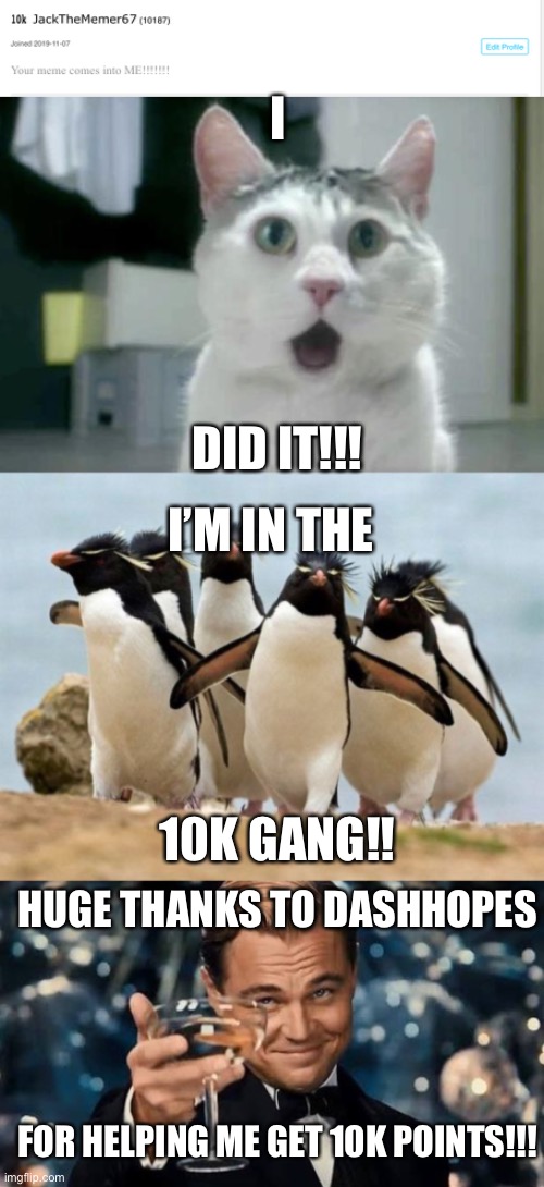 Thank you so much DashHopes for helping me get 10K points!!!! I really appreciate it! | I; DID IT!!! I’M IN THE; 10K GANG!! HUGE THANKS TO DASHHOPES; FOR HELPING ME GET 10K POINTS!!! | image tagged in memes,penguin gang,omg cat,congratulations man,imgflip points,10k | made w/ Imgflip meme maker