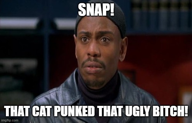 Conspiracy Brotha Jones | SNAP! THAT CAT PUNKED THAT UGLY BITCH! | image tagged in conspiracy brotha jones | made w/ Imgflip meme maker