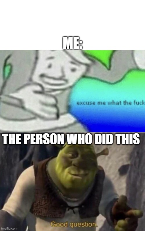 ME: THE PERSON WHO DID THIS | image tagged in excuse me wtf blank template,shrek good question | made w/ Imgflip meme maker