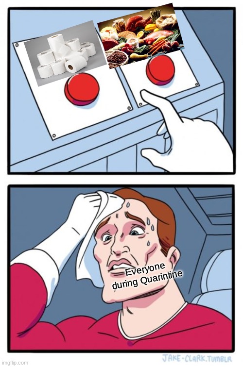 Two Buttons | Everyone during Quarintine | image tagged in memes,two buttons | made w/ Imgflip meme maker