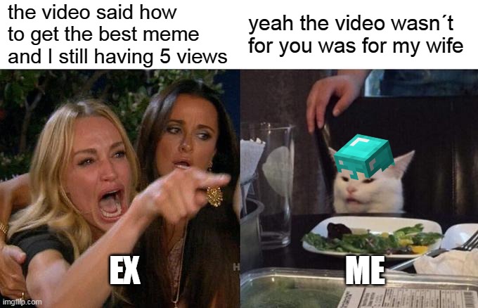 not true | the video said how to get the best meme and I still having 5 views; yeah the video wasn´t for you was for my wife; EX                                 ME | image tagged in memes,woman yelling at cat | made w/ Imgflip meme maker