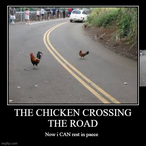 Chiken crossing the IRL | image tagged in funny,demotivationals | made w/ Imgflip demotivational maker