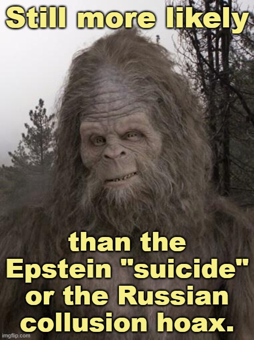 Also more credible than Biden's denial of Tara Reade | Still more likely; than the Epstein "suicide" or the Russian collusion hoax. | image tagged in sasquatch,biden | made w/ Imgflip meme maker