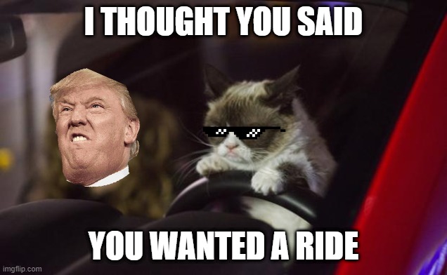 Grumpy cat learns to drive | I THOUGHT YOU SAID; YOU WANTED A RIDE | image tagged in grumpy cat driving,grumpy cat movie | made w/ Imgflip meme maker