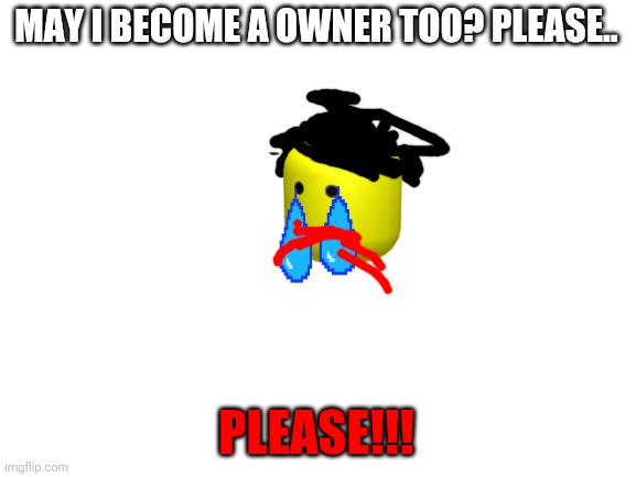 Plz |  MAY I BECOME A OWNER TOO? PLEASE.. PLEASE!!! | image tagged in blank white template | made w/ Imgflip meme maker