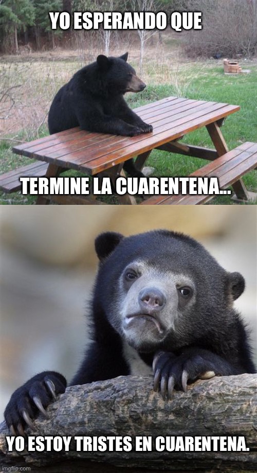 Quarantine is no fun... | YO ESPERANDO QUE; TERMINE LA CUARENTENA... YO ESTOY TRISTES EN CUARENTENA. | image tagged in memes,confession bear,bad luck bear | made w/ Imgflip meme maker