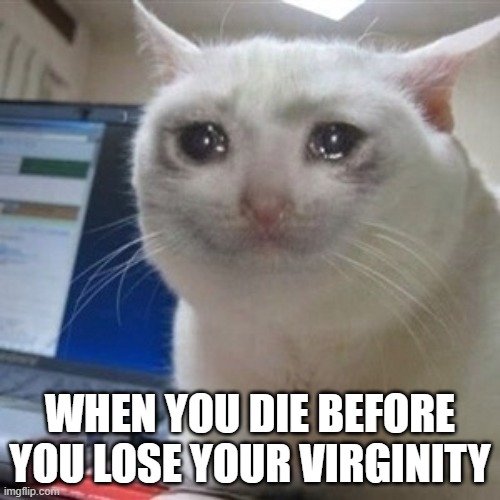Crying cat | WHEN YOU DIE BEFORE YOU LOSE YOUR VIRGINITY | image tagged in crying cat,virgin | made w/ Imgflip meme maker