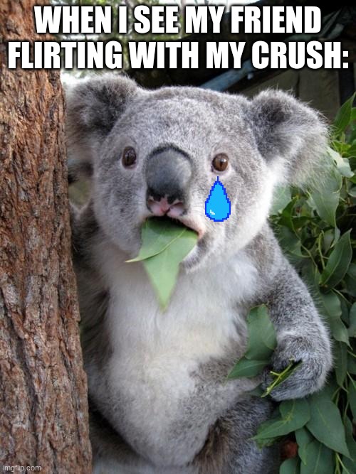 Soooo true, lol... |  WHEN I SEE MY FRIEND FLIRTING WITH MY CRUSH: | image tagged in memes,surprised koala | made w/ Imgflip meme maker
