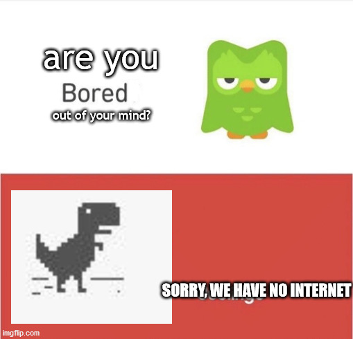 Bored Duolingo | are you; out of your mind? SORRY, WE HAVE NO INTERNET | image tagged in bored duolingo | made w/ Imgflip meme maker