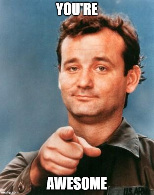 Bill Murray You're Awesome | YOU'RE AWESOME | image tagged in bill murray you're awesome | made w/ Imgflip meme maker