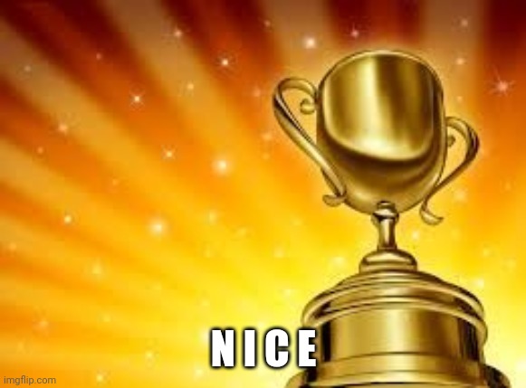 Award | N I C E | image tagged in award | made w/ Imgflip meme maker