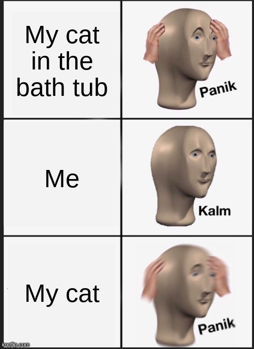 Panik Kalm Panik | My cat in the bath tub; Me; My cat | image tagged in memes,panik kalm panik | made w/ Imgflip meme maker