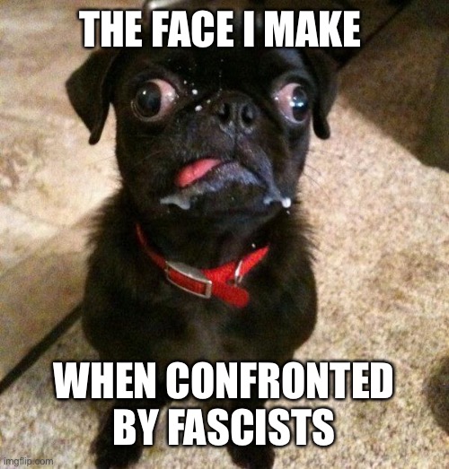 THE FACE I MAKE WHEN CONFRONTED BY FASCISTS | made w/ Imgflip meme maker