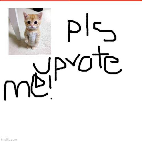 upvote me if u have a heart | image tagged in cats,upvote begging | made w/ Imgflip meme maker