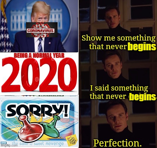 Perfection | begins; BEING A NORMAL YEAR; begins | image tagged in perfection | made w/ Imgflip meme maker