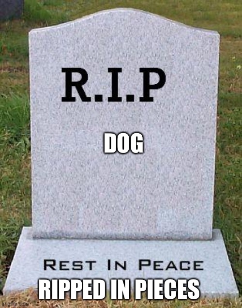 RIP headstone | DOG RIPPED IN PIECES | image tagged in rip headstone | made w/ Imgflip meme maker