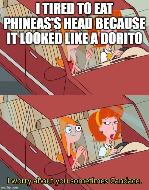I worry about you sometimes Candace | I TIRED TO EAT PHINEAS'S HEAD BECAUSE IT LOOKED LIKE A DORITO | image tagged in i worry about you sometimes candace | made w/ Imgflip meme maker