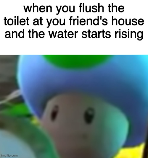 when you flush the toilet at you friend's house and the water starts rising | image tagged in blank white template,blank face toad | made w/ Imgflip meme maker