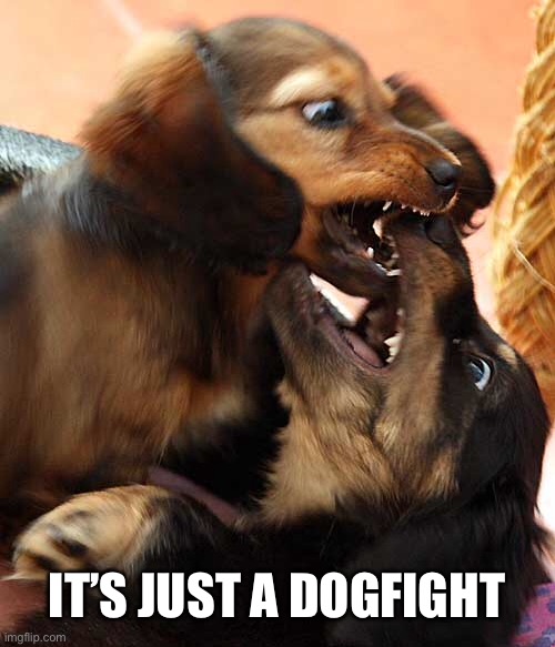 IT’S JUST A DOGFIGHT | made w/ Imgflip meme maker