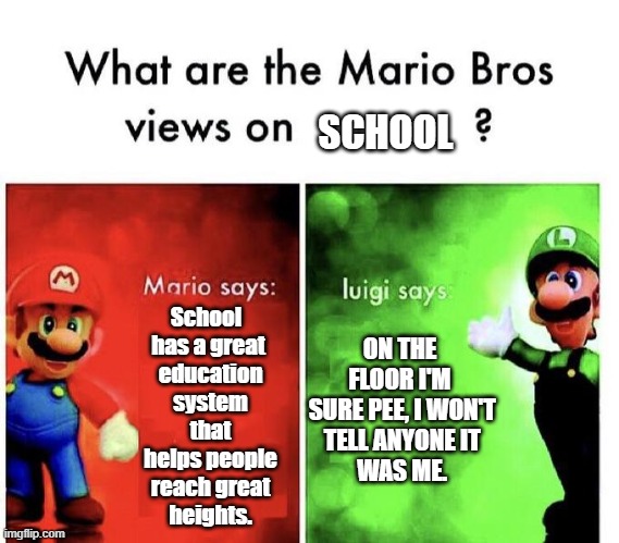 The Bros' Thoughts on School | SCHOOL; School 
has a great
 education
 system
 that
 helps people
 reach great
 heights. ON THE FLOOR I'M
 SURE PEE, I WON'T
 TELL ANYONE IT
 WAS ME. | image tagged in mario bros views | made w/ Imgflip meme maker