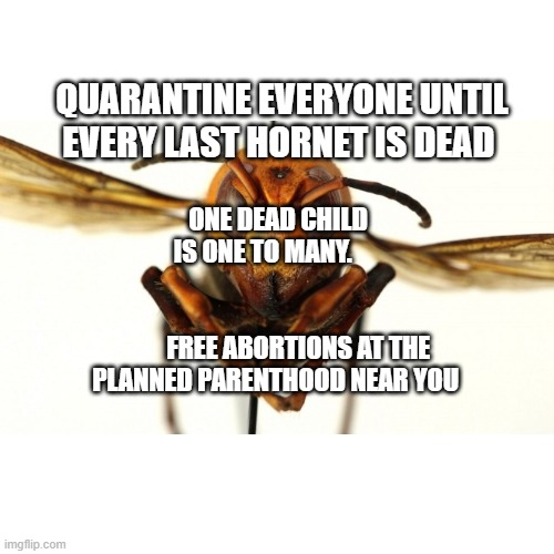 Murder Hornet | QUARANTINE EVERYONE UNTIL EVERY LAST HORNET IS DEAD; ONE DEAD CHILD IS ONE TO MANY.                                       
        FREE ABORTIONS AT THE PLANNED PARENTHOOD NEAR YOU | image tagged in murder hornet | made w/ Imgflip meme maker