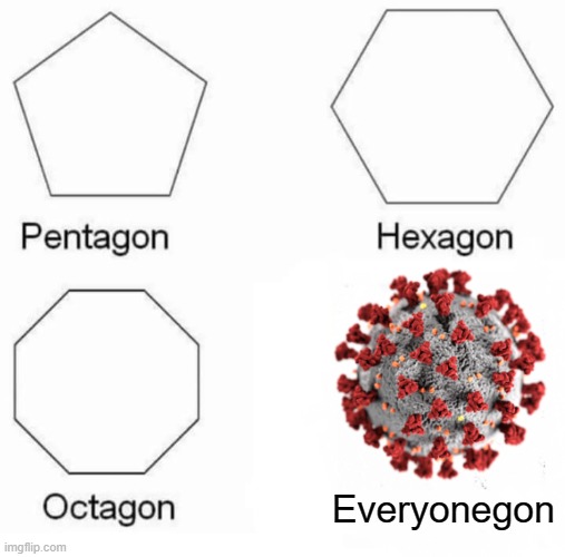 When you ask why no one is out on the streets as much | Everyonegon | image tagged in memes,pentagon hexagon octagon | made w/ Imgflip meme maker