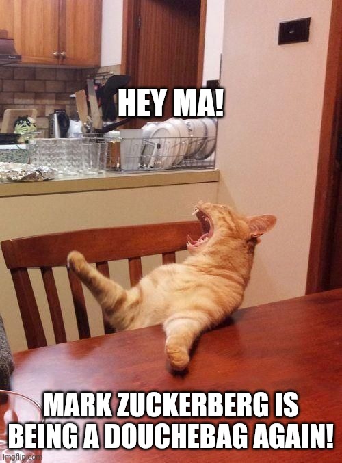 MA FB BROKEN | HEY MA! MARK ZUCKERBERG IS BEING A DOUCHEBAG AGAIN! | image tagged in ma fb broken | made w/ Imgflip meme maker
