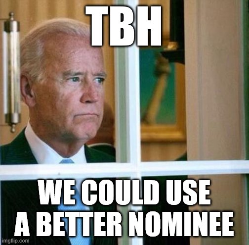 One thing I’d change about the Democratic Party? A new 2020 candidate. | TBH; WE COULD USE A BETTER NOMINEE | image tagged in sad joe biden,joe biden,biden,2020,democratic party,election 2020 | made w/ Imgflip meme maker