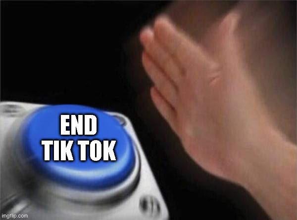 Blank Nut Button | END TIK TOK | image tagged in memes,blank nut button | made w/ Imgflip meme maker