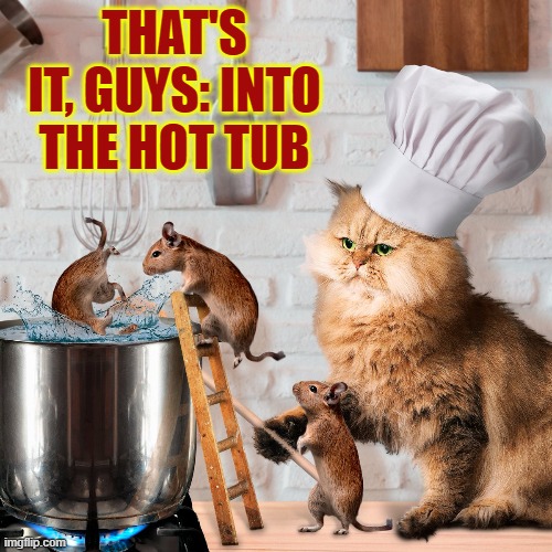 Chef Cindy Clawford's Mouse Mousse | THAT'S IT, GUYS: INTO THE HOT TUB | image tagged in vince vance,cats,chef,rats,mice,mouse | made w/ Imgflip meme maker